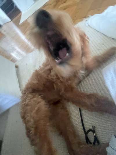 Un...scharf Bilder-Beitrag-Bild