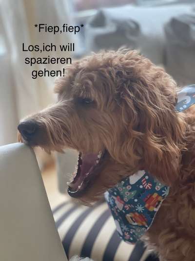 1. Kurzgeschichten Challenge  - Thema:  ...Los, aufstehen-Beitrag-Bild