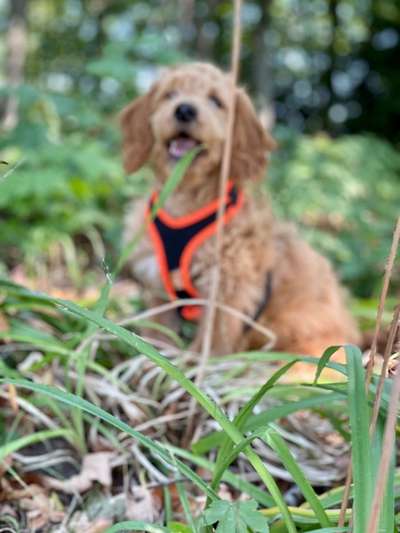 Un...scharf Bilder-Beitrag-Bild