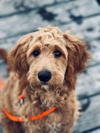 Handy-Foto Challange Nr. 10-Beitrag-Bild