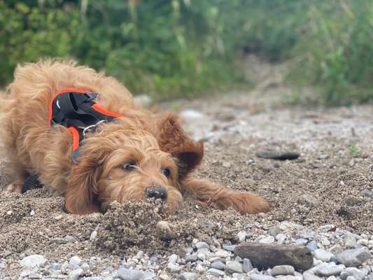 Eure Strandbilder :)-Beitrag-Bild