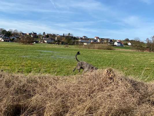 Ratespaß geht weiter-Beitrag-Bild