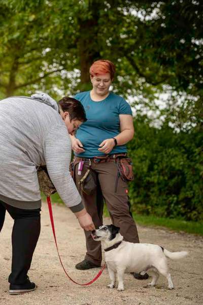 Giftköder-Einzeltraining-Bild