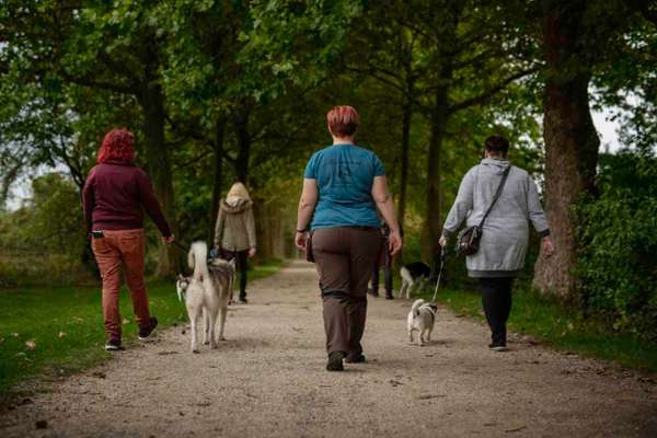 Giftköder-Social Walk-Bild