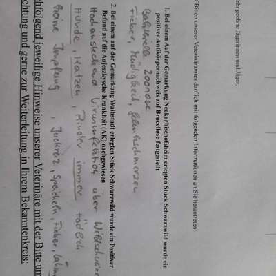 Giftköder-Zoonose-Bild