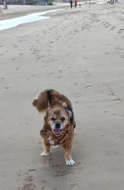 Fotochallenge Nr.100 Urlaubsimpressionen-Beitrag-Bild