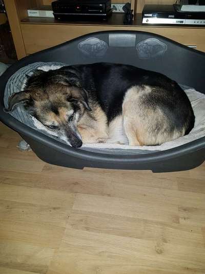 Schlafpositionen-Beitrag-Bild