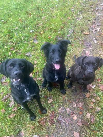 Fotochallenge 69-Beitrag-Bild