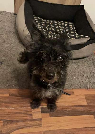 Fotochallenge Nr. 56 - geliebte Senioren-Beitrag-Bild