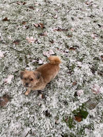 Doppelgänger gesucht !-Beitrag-Bild