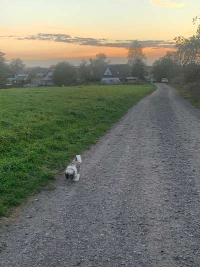 Lieblingsbild-Beitrag-Bild