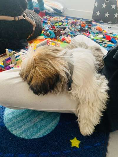 Lieblingsbild-Beitrag-Bild