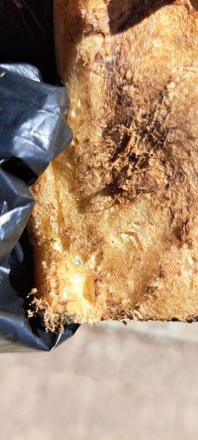 Giftköder-Giftköder-Bild