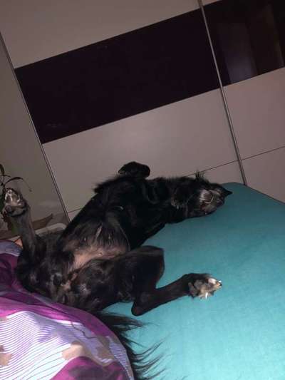 Die unbequemsten und lustigsten Schlafpositionen-Beitrag-Bild