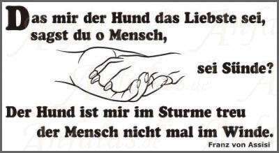 Hunde sprüche-Beitrag-Bild