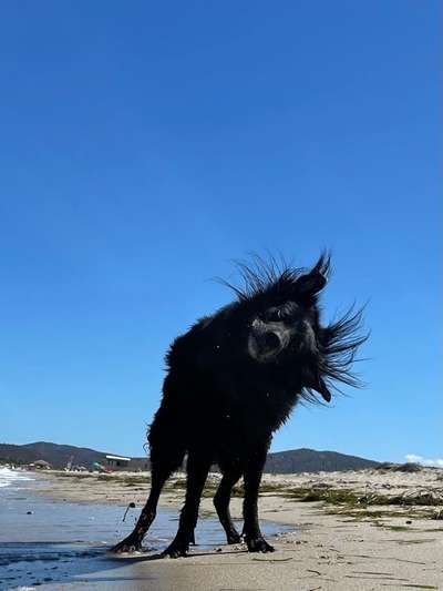 Unterwegs sein-Beitrag-Bild