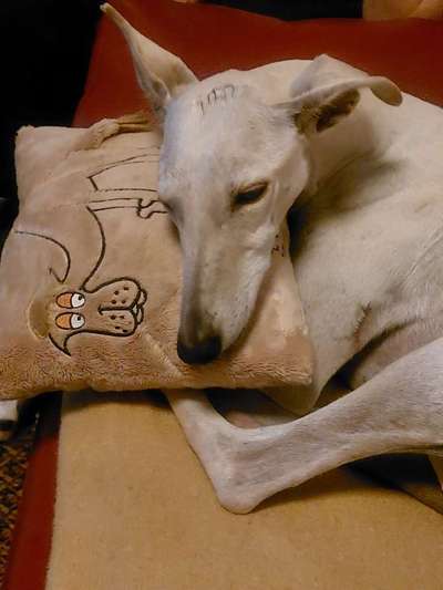 Fotochallenge Nr. 67: Euer Lieblingsbild-Beitrag-Bild