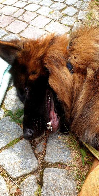 Handy-foto Challange nr. 11-Beitrag-Bild