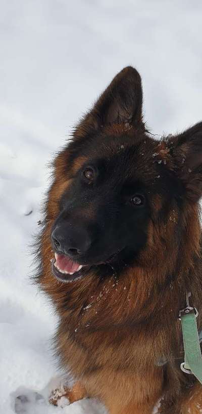 Handy-Foto Challange Nr. 10-Beitrag-Bild