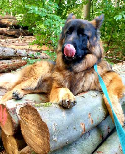 Handyfoto challenge Nr. 13: Waschlappen raus!-Beitrag-Bild