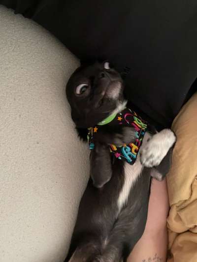 Lustige Bilder-Beitrag-Bild