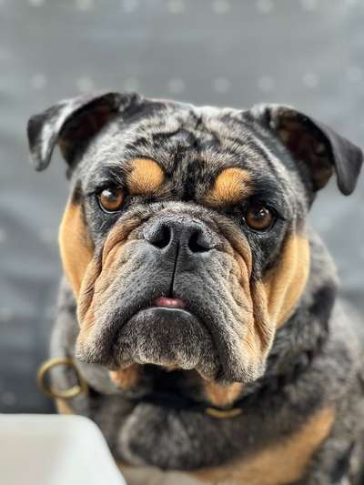 150. Foto Challaenge:  Die Augen, der Spiegel der Seele-Beitrag-Bild