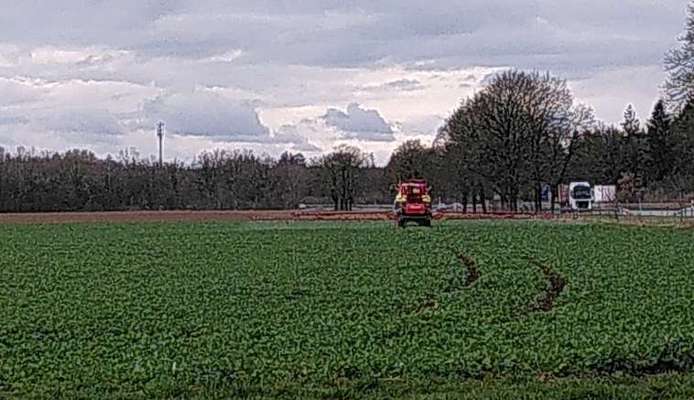 Giftköder-Landwirt spritzt das Rapsfeld-Bild