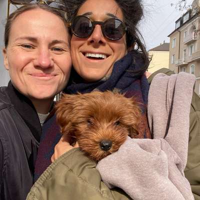 Hundetreffen-Welpentreffen in Schwabing-Profilbild