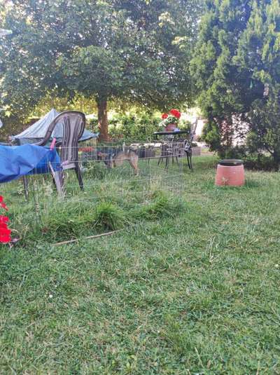 Zeigt eure schönsten Sommerbilder-Beitrag-Bild