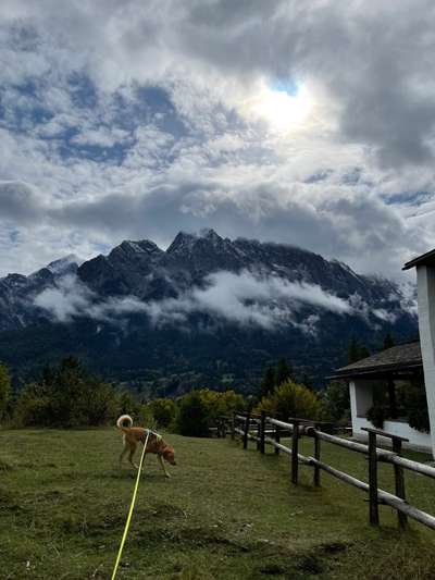 Fotowettbewerb Natur-Beitrag-Bild