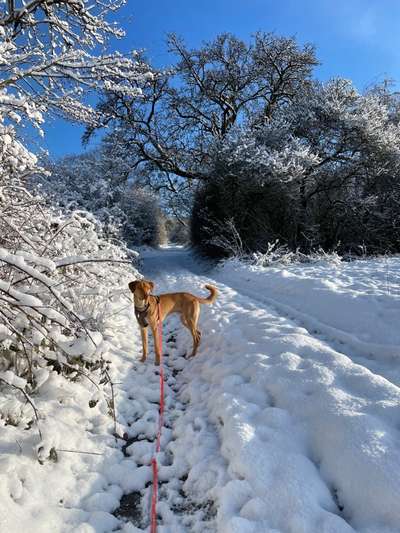 Lieblingsbild-Beitrag-Bild