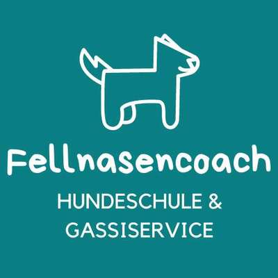 Hundeschulen-Fellnasencoach Hundeschule&Gassiservice-Bild