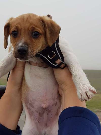 Fotochallenge Nr.65-Beitrag-Bild