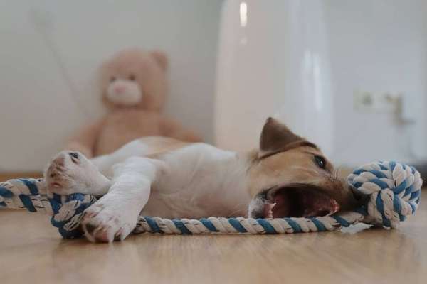 Her mit dem Grimassen-Beitrag-Bild