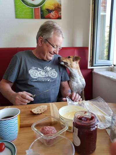 Dogorama Photo Challenge - Hundeblick zum hinschmelzen-Beitrag-Bild