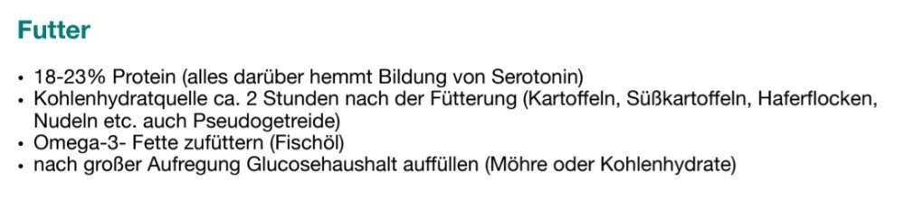 TierschutzhundeStammtisch🐕-Beitrag-Bild