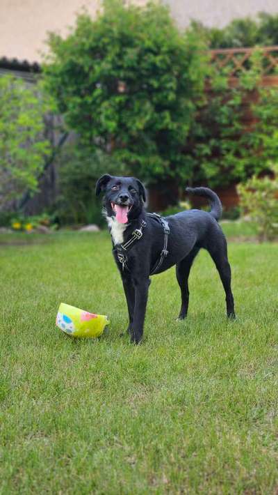 138. Fotochallenge 

(M)Ein Ball und ich-Beitrag-Bild