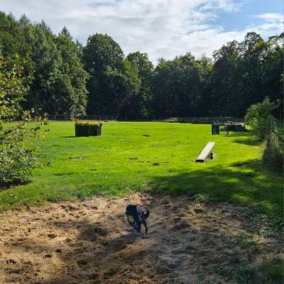 TierschutzhundeStammtisch🐕-Beitrag-Bild