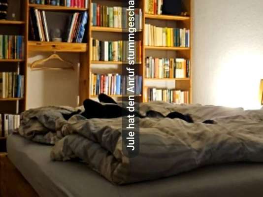 TierschutzhundeStammtisch🐕-Beitrag-Bild