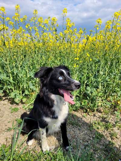 Handyfoto challenge Nr. 13: Waschlappen raus!-Beitrag-Bild