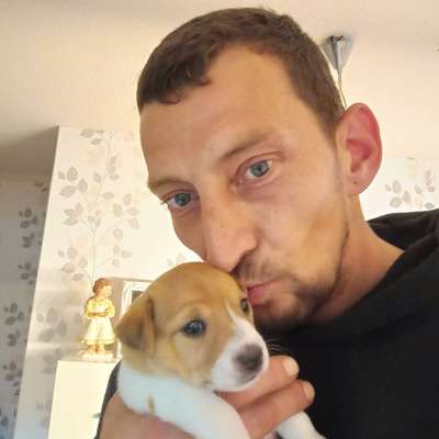 Hundetreffen-Jack Russel mädchen sucht Anschluss-Profilbild
