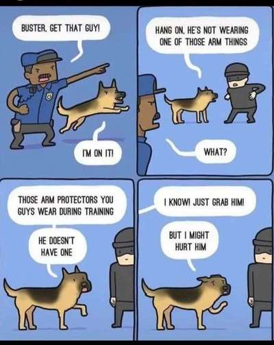 Hunde Memes-Beitrag-Bild