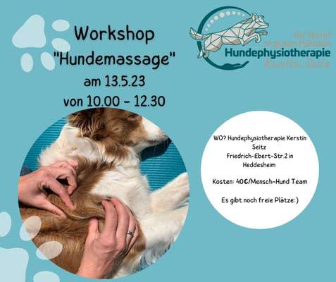 %{de_profession_title}-Workshop "Hundemassage" am 13.5.2023-Bild