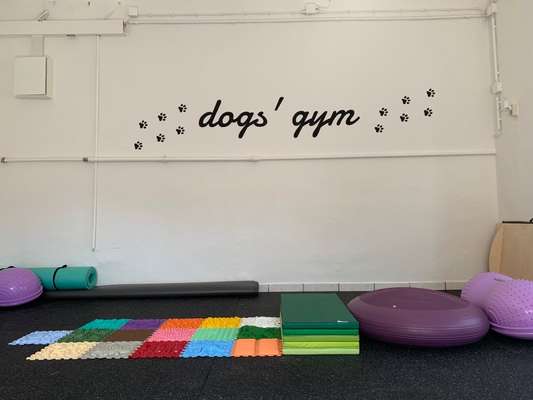 %{de_profession_title}-💪HUNDEFITNESS Schnupper Kurs🐾-Bild