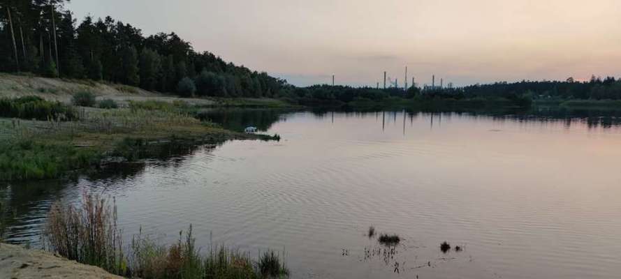 Hundeauslaufgebiet-Schwaiger Kieswerk-Bild