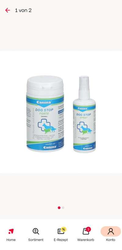 Läufigkeitshose-Beitrag-Bild