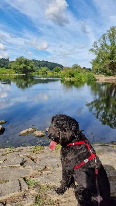 Theos Fotochallange Nummer 4-Beitrag-Bild