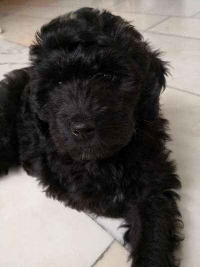 Fotochallange Nummer 5-Beitrag-Bild