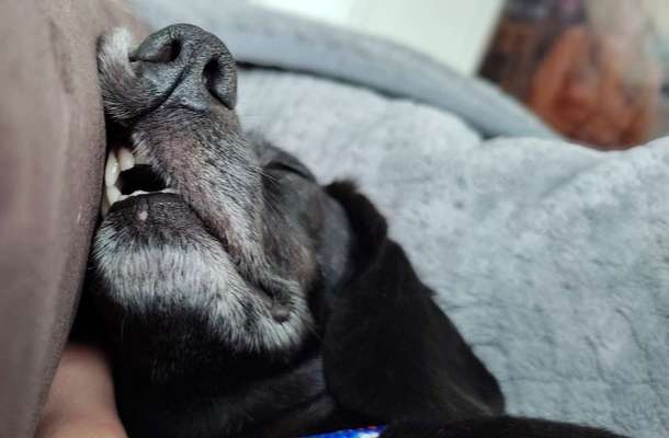 Was hat euch heute genervt?-Beitrag-Bild