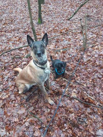 155. FotoChallange * David und Goliath *-Beitrag-Bild